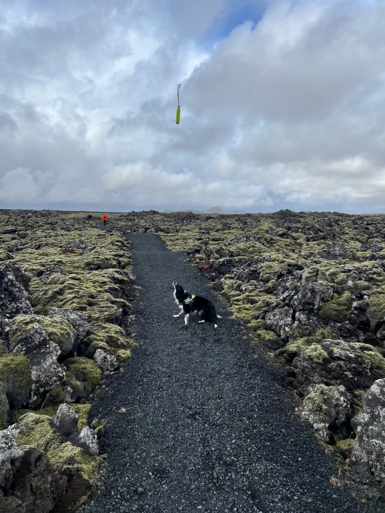 El Blue lagoon está en un campo de lava